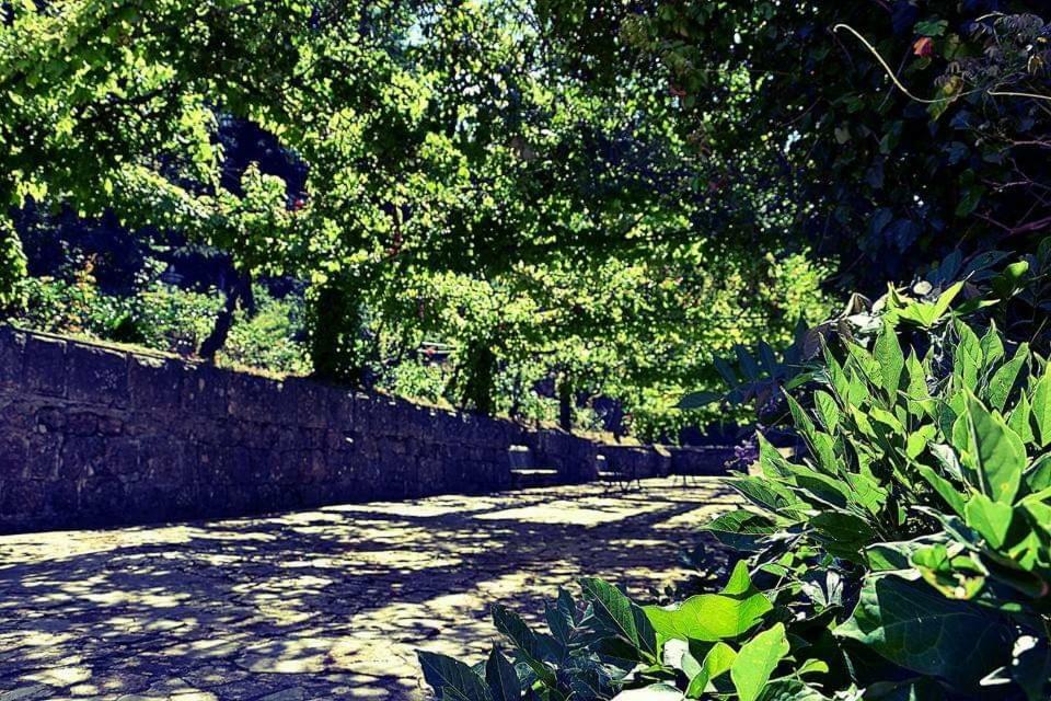 הוילה Tortorici Valle Maira, Agriturismo Nel Parco Dei Nebrodi מראה חיצוני תמונה