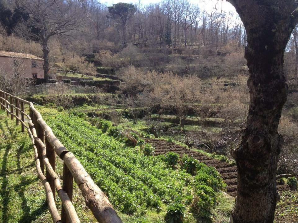 הוילה Tortorici Valle Maira, Agriturismo Nel Parco Dei Nebrodi מראה חיצוני תמונה
