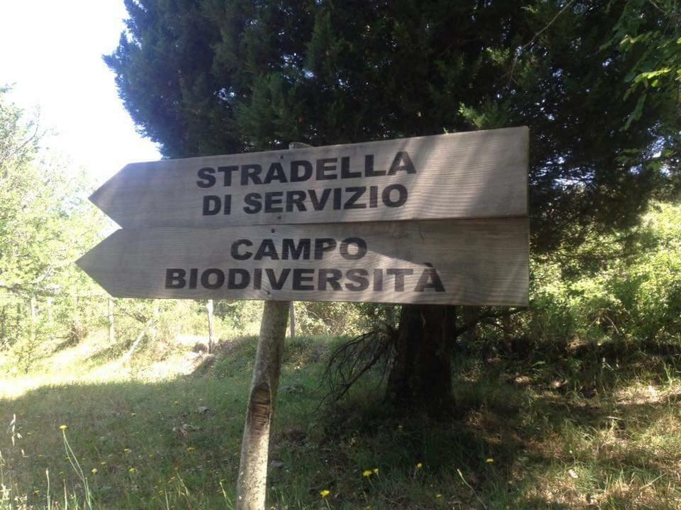 הוילה Tortorici Valle Maira, Agriturismo Nel Parco Dei Nebrodi מראה חיצוני תמונה