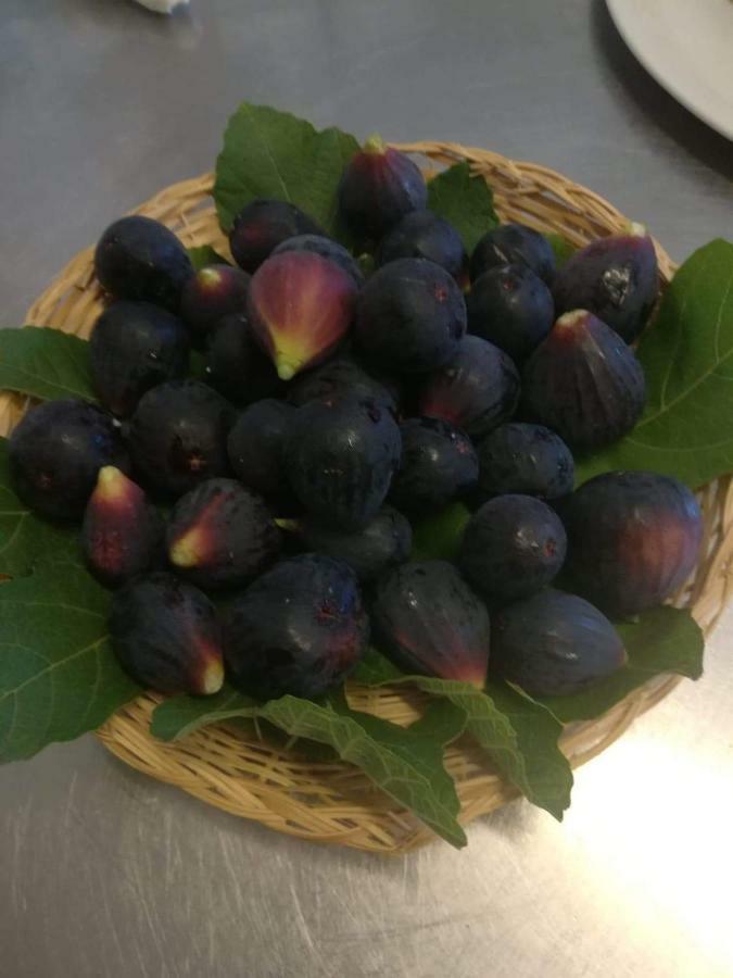 הוילה Tortorici Valle Maira, Agriturismo Nel Parco Dei Nebrodi מראה חיצוני תמונה